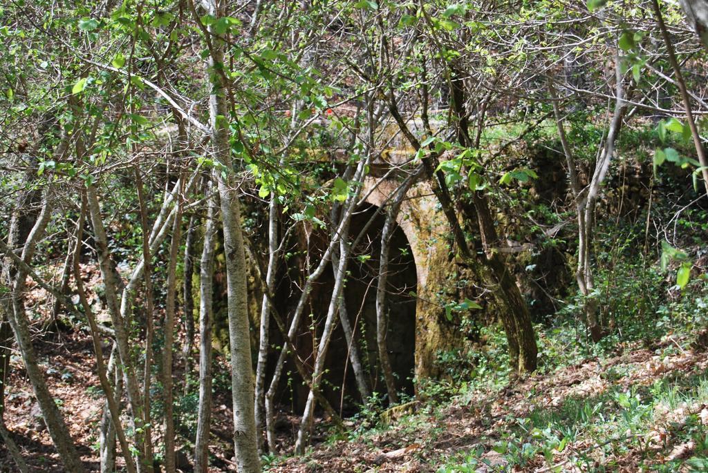 拉库阿德拉乡村别墅 Linares de Riofrío 外观 照片