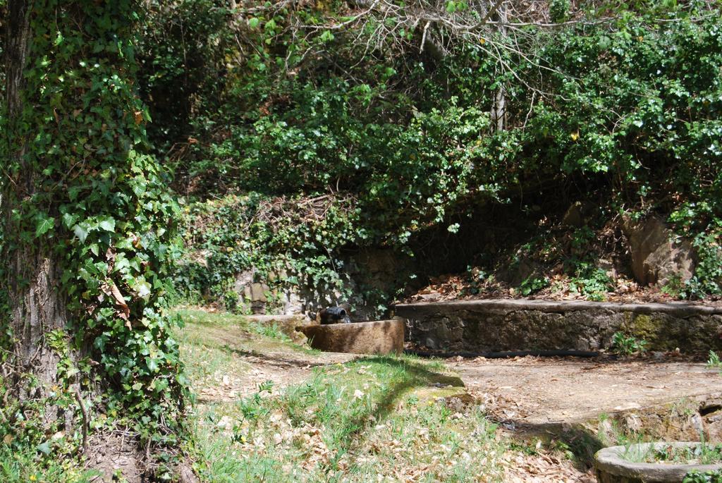 拉库阿德拉乡村别墅 Linares de Riofrío 外观 照片